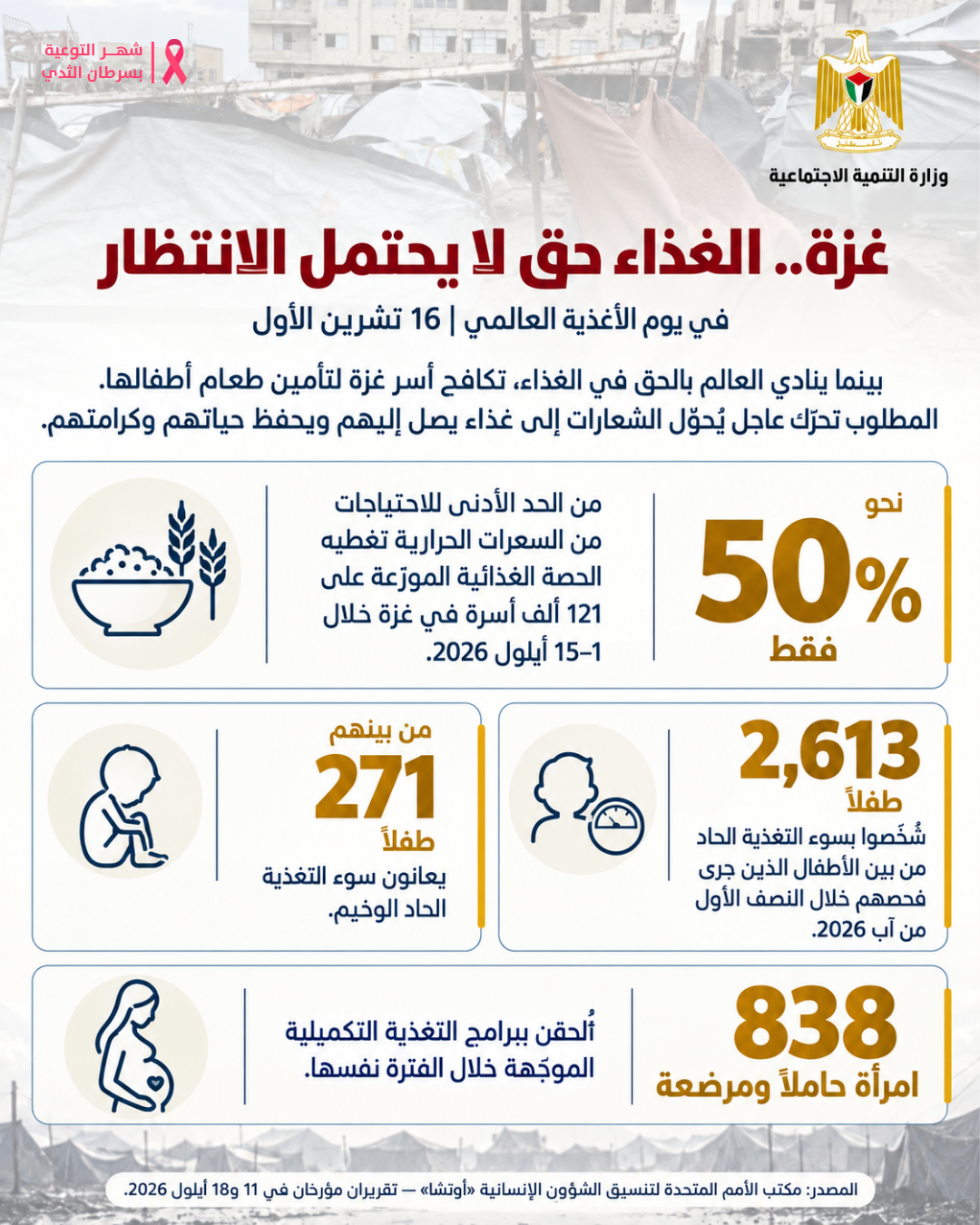 التنمية الاجتماعية: توفر الغذاء لا يكفي إذا كانت الأسرة عاجزة عن الوصول إليه أو شراء احتياجاتها 